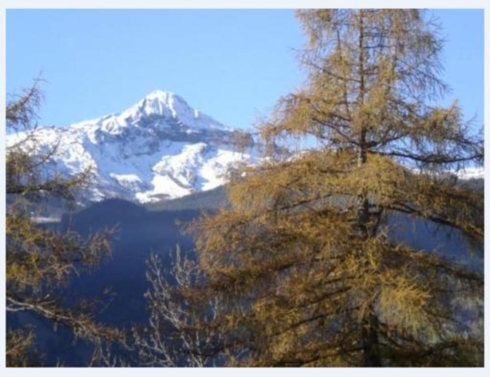 Hotel Eigerblick Grindelwald Exterior foto